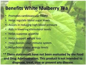 White Mulberry Leaf Extract 30 Capsules 4:1