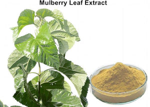 White Mulberry Leaf Extract 30 Capsules 4:1