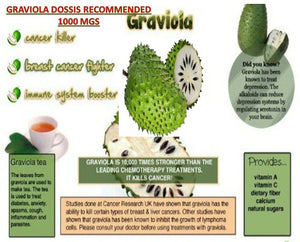 GRAVIOLA EXTRACT 1000 mg 1 Month Guanabana Soursop Immune Antioxidant Supplement