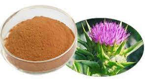 Milk Thistle Seed Powder - 16 oz or 1 lb - (Silybum Marianum)