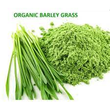 Organic Barley Grass Powder - 2 LB