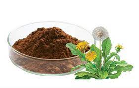 Dandelion Root Powder - 1 LB - (Taraxacum Officinale)