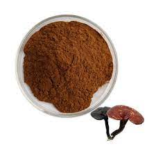 Reishi Mushroom Powder - 2 LB Bag (Ganoderma lucidum)  Non GMO