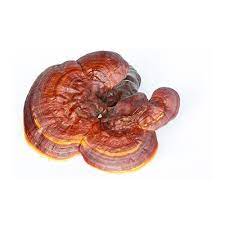 Reishi Mushroom Powder (Ganoderma Lucidum)