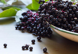 Elderberry Powder (Flu & Cold)