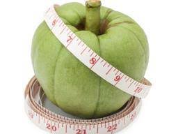 1 LB Pure Garcinia Cambogia Extract Powder 60%HCA