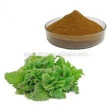 Nettle Leaf Powder - 2 LB - (Urtica Dioica) Kosher Fresh with